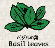 バジルの葉　BasilLeaves